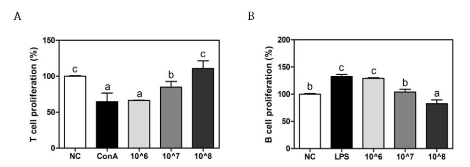 Effects of Bifidobacterium longum KACC 91563 on T and B cell proliferation from splenocytes in Balb/c mice