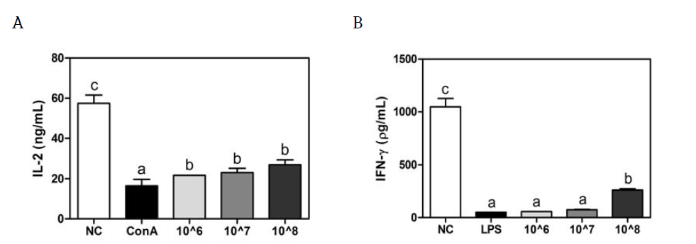 Effects of Bifidobacterium longum KACC 91563 on Th1 type cytokine (IL-2 and IFN-γ) production from splenocytes in Balb/c mice