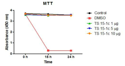 쥐 배아 섬유아세포에 TS15-1 유효 peptide 처리 시 세포독성평가