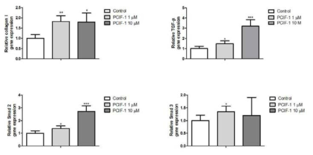 사람 피부 섬유아세포에 핵심 TS15-1 peptide 1 (PCIF-1) 처리 시 Type I collagen 및 관련 유전자 합성 증가