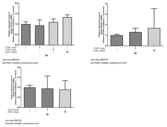 HDFn 세포에서 PCIF-2, 3, 4를 처리한 이후에 발현되는 Human Smad2 유전자의 발현을 확인함