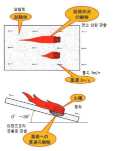 비화시험 방법