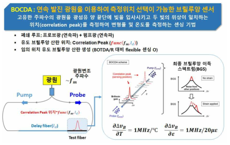 BOCDA 시스템의 브릴루앙 이득 스펙트럼(BGS)과 상관점(CP)