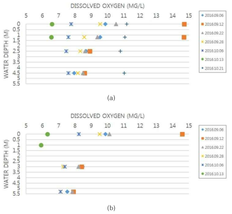 물 순환 장치 가동에 따른 수심 별 DO 변화 (a) L-2 지점, (b) L-4 지점