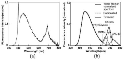 기준 형광 스펙트럼 측정결과 (a) 형광 레이더 스펙트럼 (405 nm에서의 피크는 수분 라만 시그널), (b) (a)에 나타낸 형광 스펙트럼 분석결과
