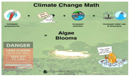 기후변화와 algae blooms의 관계 출처: http://utahrivers.org/blog-post/2016/09/02/utahs-climate-change-algae-blooms