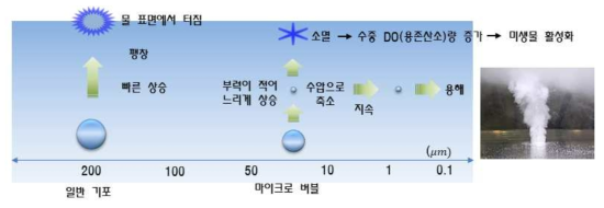 마이크로 버블 특성 (Takahashi et al., 2007)