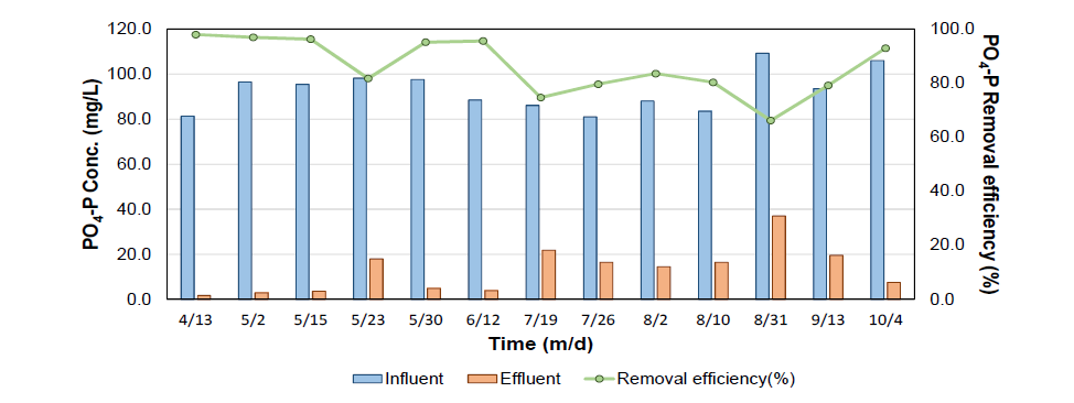유입수와 유출수의 PO4-P 농도 및 처리효율