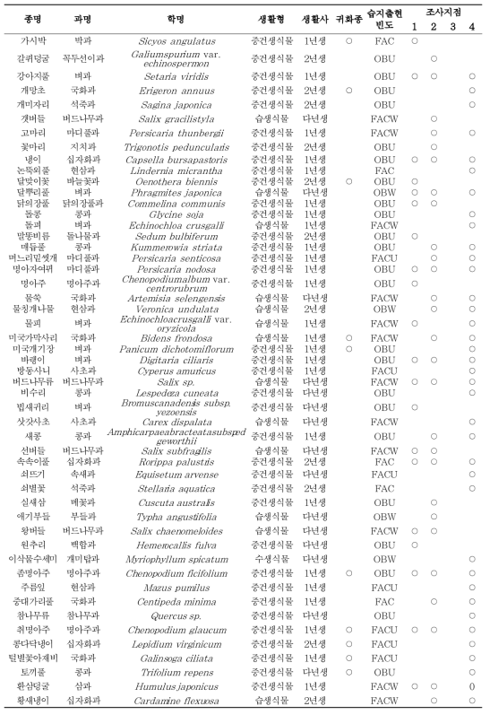 내성천 출현 식물종. FAC :양생식물, OBU : 절대육상물, FACW :임의습지식물, FACU : 임의육상식물, OBW:절대습지식물