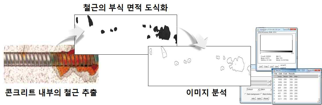 철근 부식 면적률 산출 방법