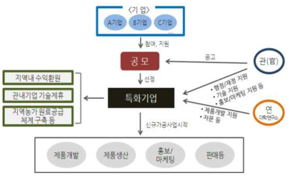 특화기업 육성형