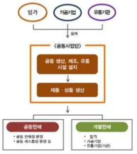 사업체 공동조직화형 모델