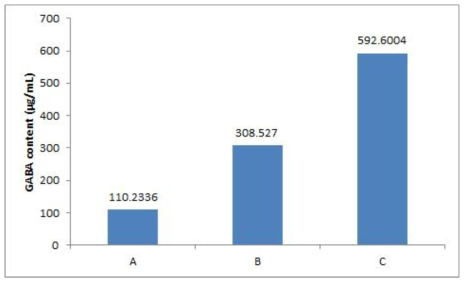 GABA생성량 측정 A: 표고버섯추출물 발효, B: 상업용배지 발효, C: 최적화배지 발효