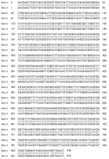 L. brevis CFM47의 sequencing 결과