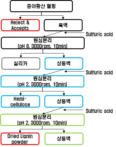 수피 내 리그닌 석출 공정 단계 모식도