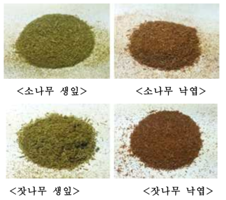 소나무와 잣나무의 미세화 전처리 후 외관 특성 평가