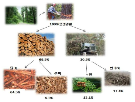 산림부산물의 발생현황 예시