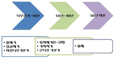 숲연령에 따른 벌채방법