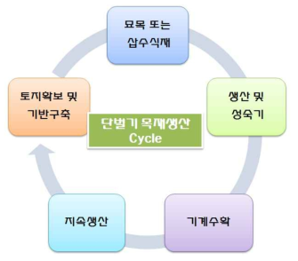 단벌기 목재생산림 Cycle