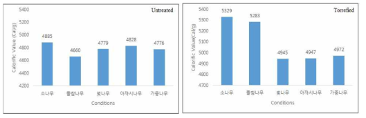 무처리 목분(左)과 Wood Roasted 목분(右)의 발열량 측정 결과