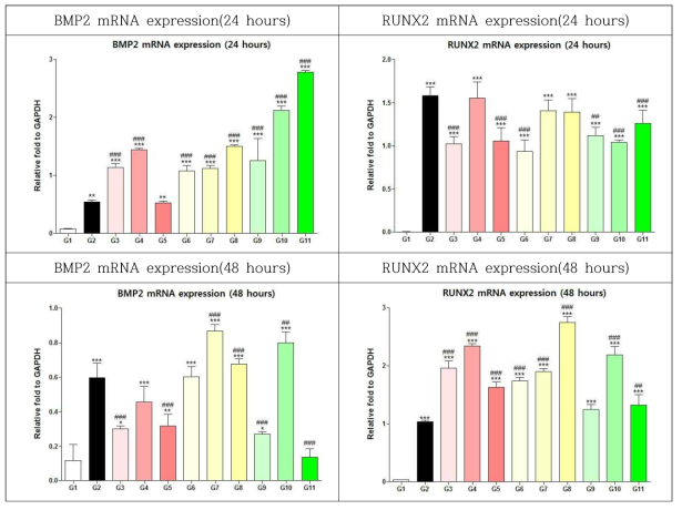 BMP2, RUNX2 유전자 분석