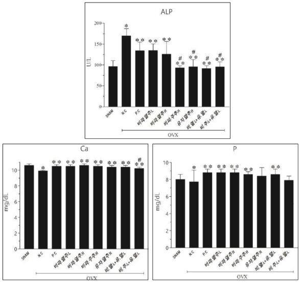 골다공증 유발 동물모델의 ALP 활성 및 Ca, P의 농도 측정