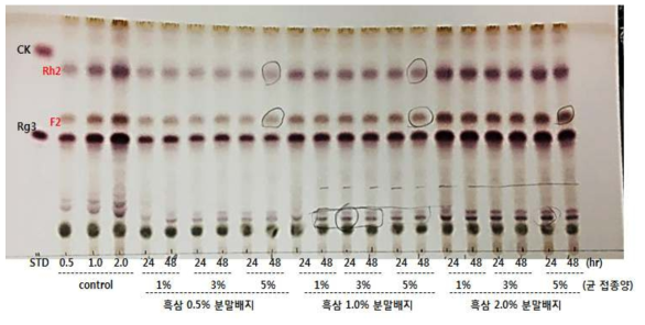 발효기간 중 흑삼 농도별, 균주 접종농도별 진세노사이드 변화 (TLC 패턴변화)