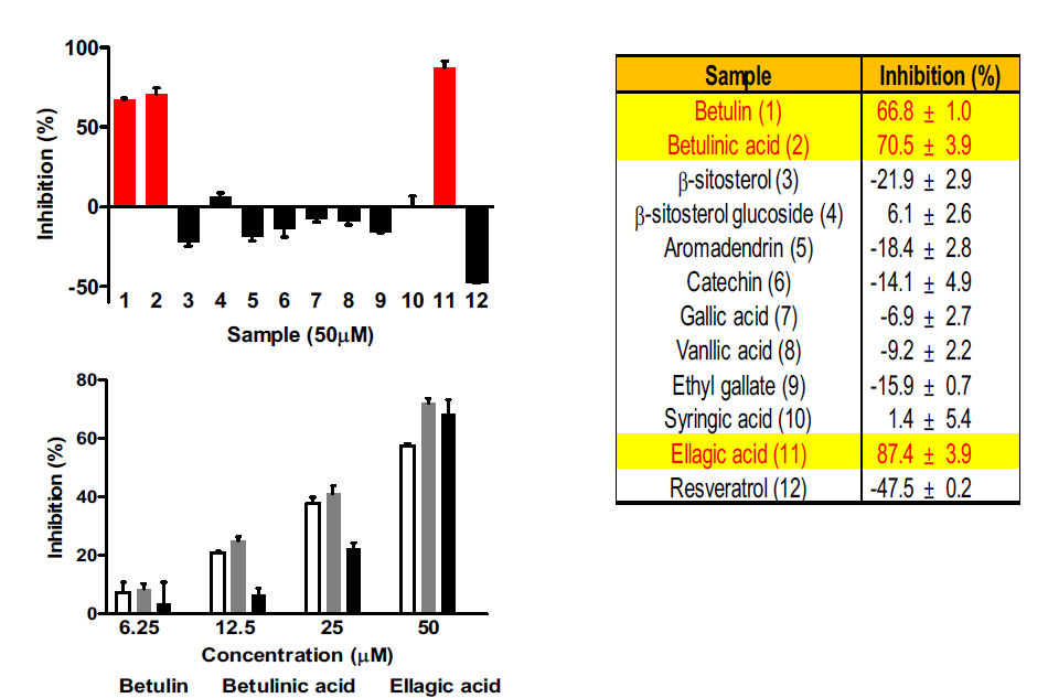 PRRSV nsp10의 ATPase activity에 대한 개머루덩굴로 부터 분리한 대표 지표물질의 저해활성