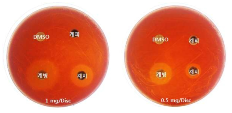 계피, 계병 및 계지 추출물의 P. multocida D에 대한 항균활성 (paper disc)