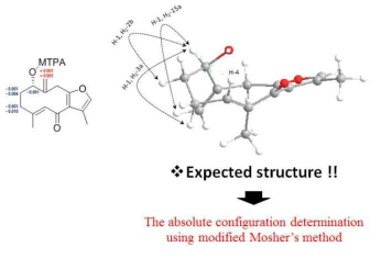 아출로부터 분리정제된 화합물들 8의 Mosher’s method를 이용한 구조동정