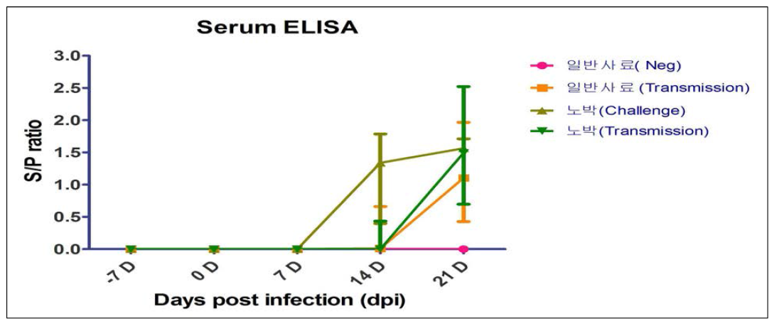공격 감염 후 ELISA 항체 역가