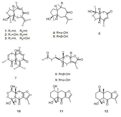 아출로부터 분리된 화합물 (1-12)