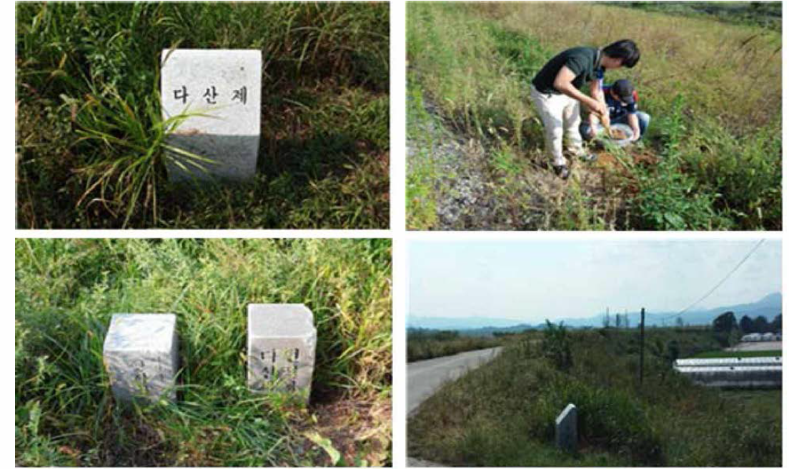 다산제 현장조사 및 시료채취 ( ❹, ❺, ❻구간)