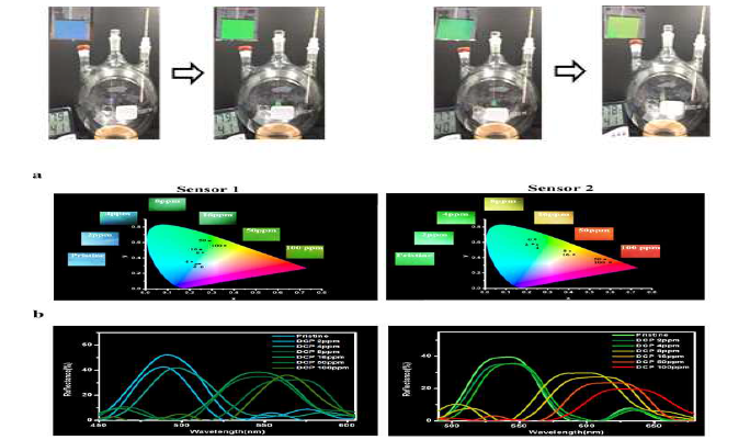 DCP 감응 센서 1,2 DCP 노출 후 색변화 및 반사도 분석