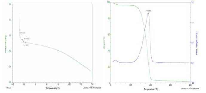 poly(octyl acrylate) DSC 및 TGA 분석 결과
