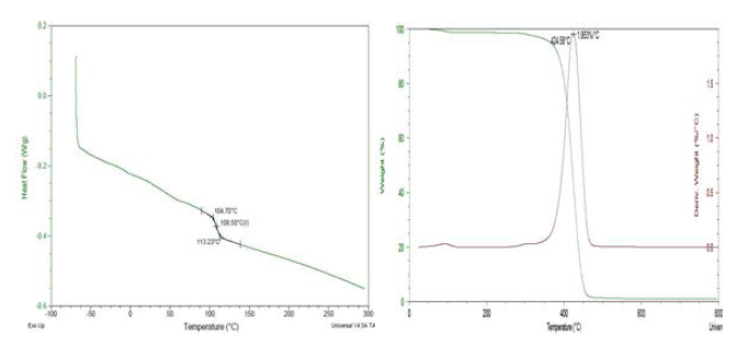 poly(p-methylstyrene) DSC 및 TGA 분석 결과