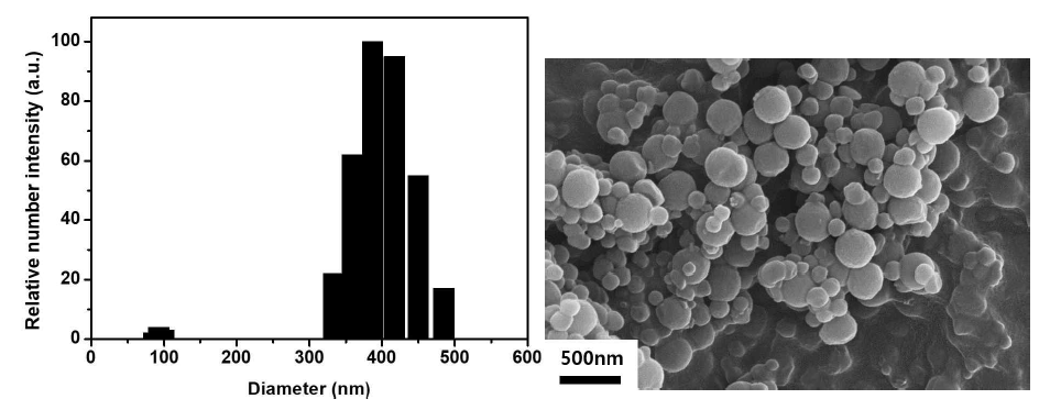 poly(2-hydroxyethyl acrylamide - polystyrene 입자 DLS data, SEM 이미지