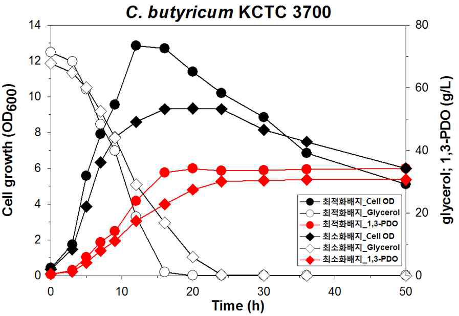 3L 발효기를 C.butyricum KCTC 3700의 회분식 배양