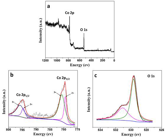 Co3O4 filamentous nanoarchitectures 전극의 XPS spectra. (a) survey spectrum, (b) Co 2p and (c) O 1s
