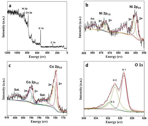 NiCo2O4 filamentous nanoarchitectures 전극의 XPS spectra. (a) survey spectrum, (b) Ni 2p, (c) Co 2p, (d) O 1s