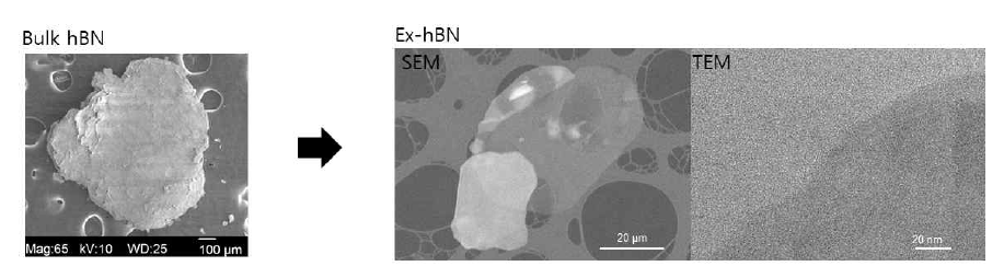 전단유동 반응기를 통해 박리되기 전·후의 hBN SEM, TEM 이미지