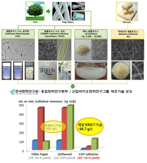 화학연 나노 셀룰로오스 개발 기술 수준