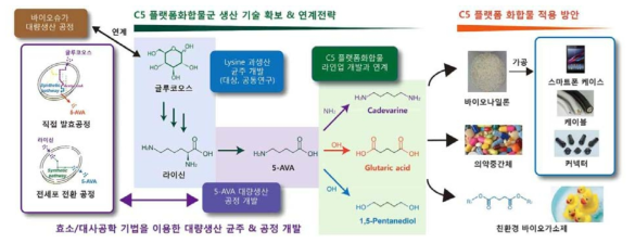 목질계 바이오매스를 활용한 C5 플랫폼화합물 생물전환 원천기술