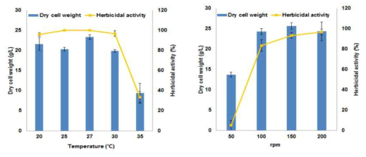 배양온도 및 교반속도에 따른 균 생육 및 제초활성