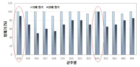 방선균 배양여액의 오이흰가루병 방제 효과