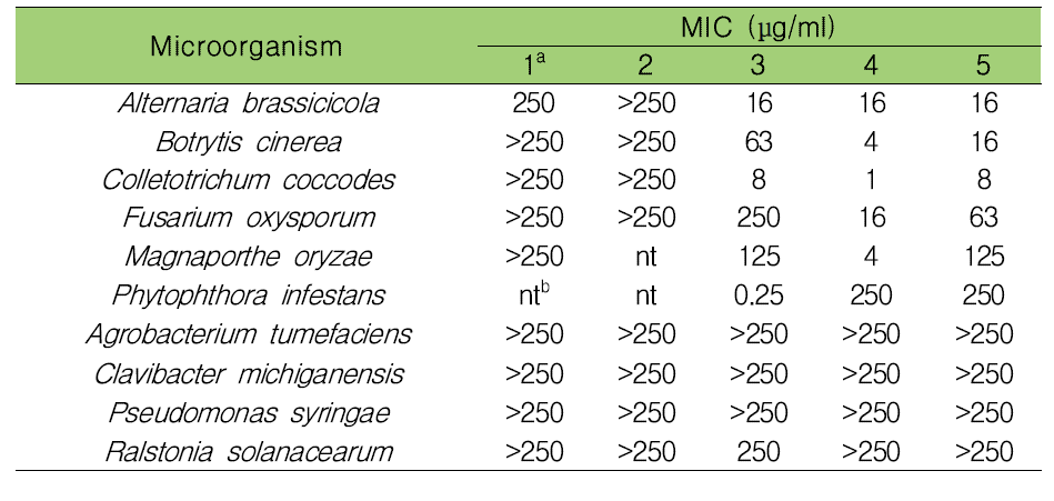 화합물 1—5의 식물병원균에 대한 최소 억제 농도(MIC)