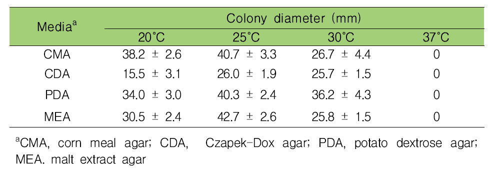 배지종류와 배양온도에 따른 A. obiones의 균총 크기 비교