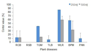 B. amyloliquefaciens 균주의 분말수화제의 7가지 식물병에 대한 방제효과