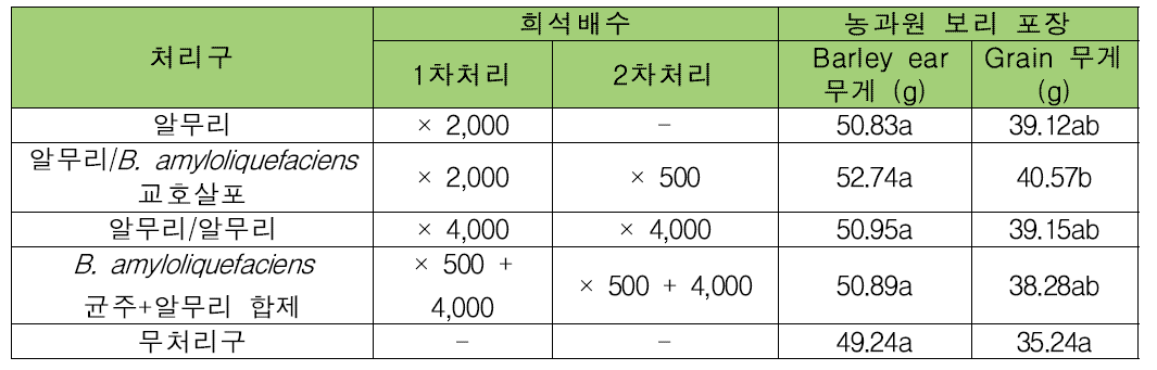 포장에서 B. amyloliquefaciens 균주 분말수화제 단제와 화학농약 합제 처리가 보리 수확량에 미치는 영향