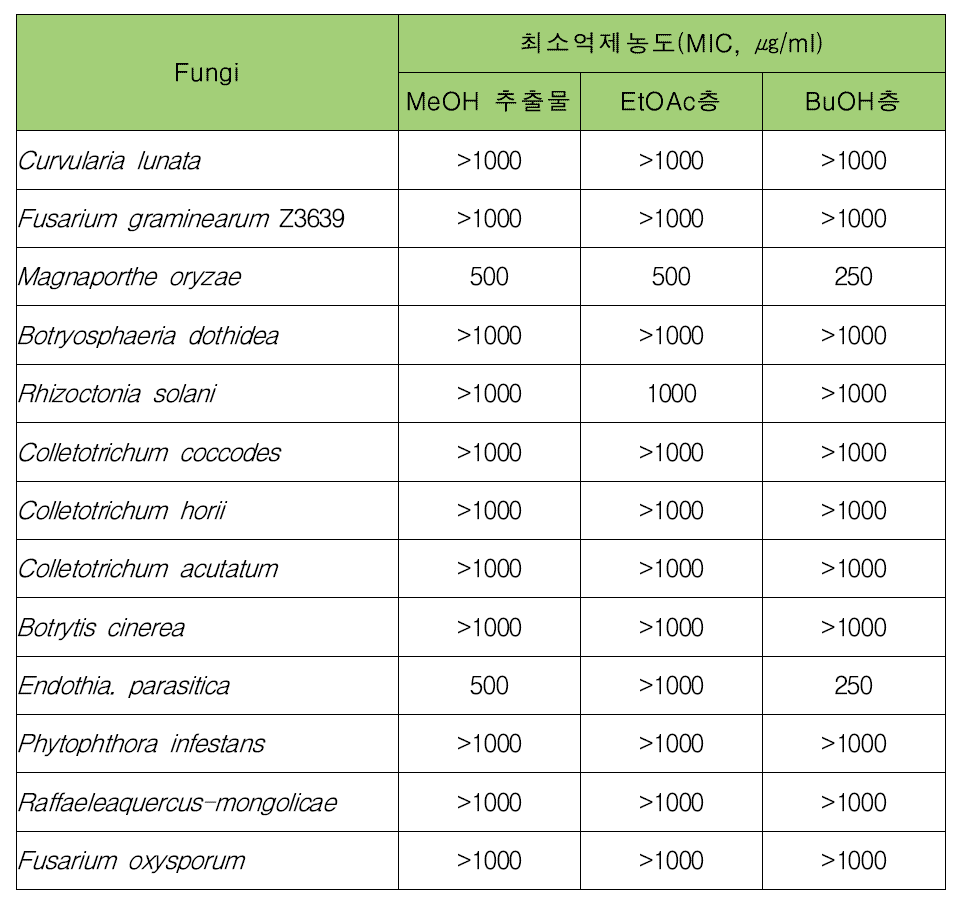 13종의 식물병원성 진균에 대한 최소억제농도 조사 결과